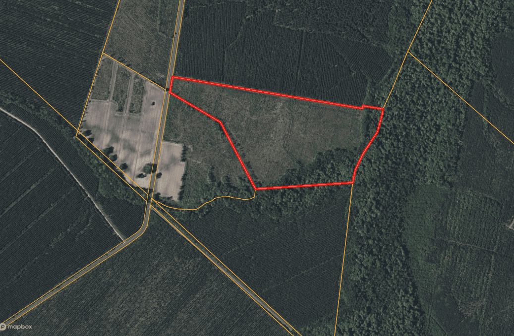 52-Acre Timber and Hunting Tract Near New Bern, NC